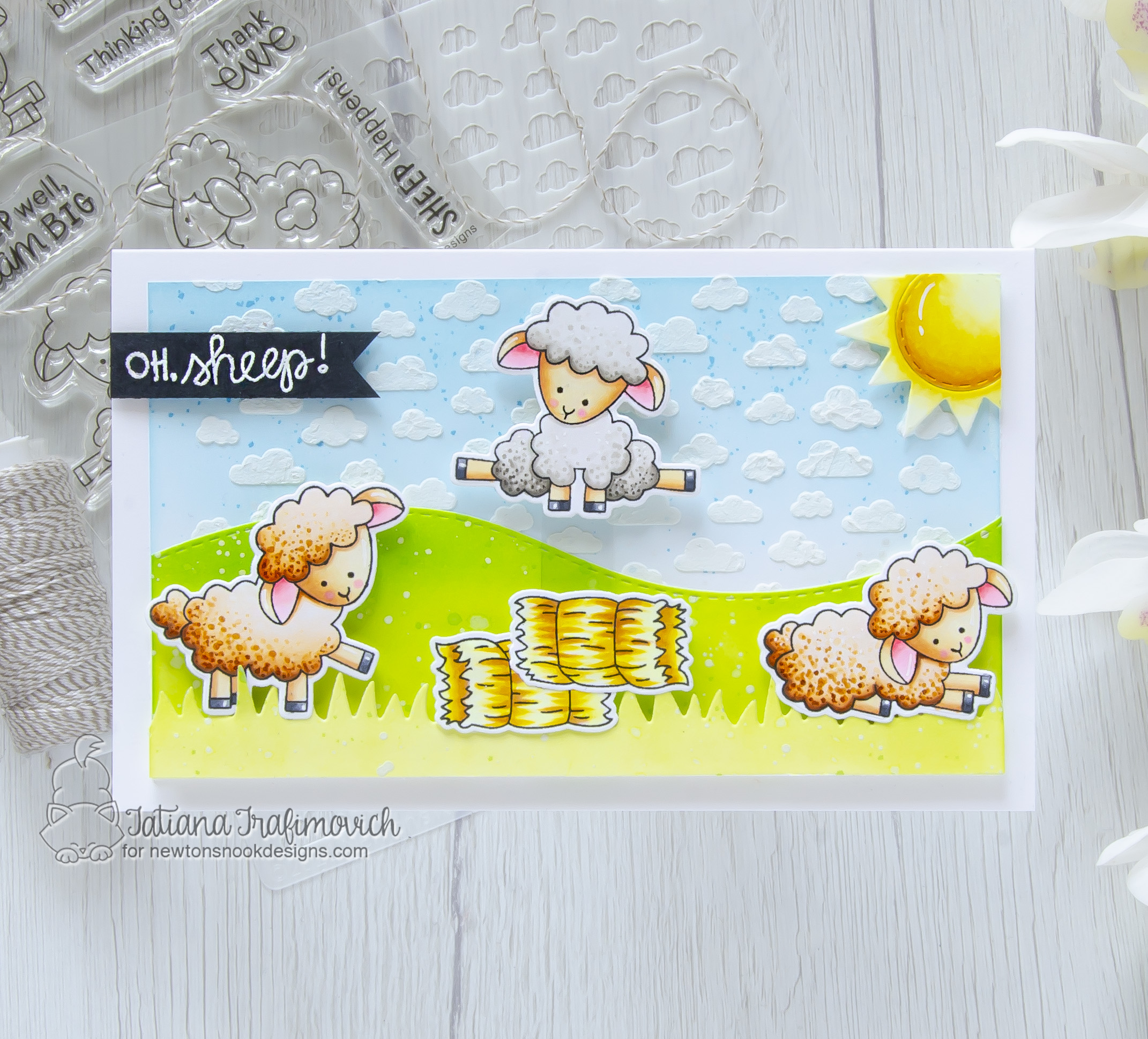 Oh, Sheep!!! #handmade card by Tatiana Trafimovich #tatianacraftandart - Baa stamp set by Newton's Nook Designs #newtonsnook